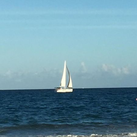 Palm Beach Mermaid غرب شاطئ بالم المظهر الخارجي الصورة
