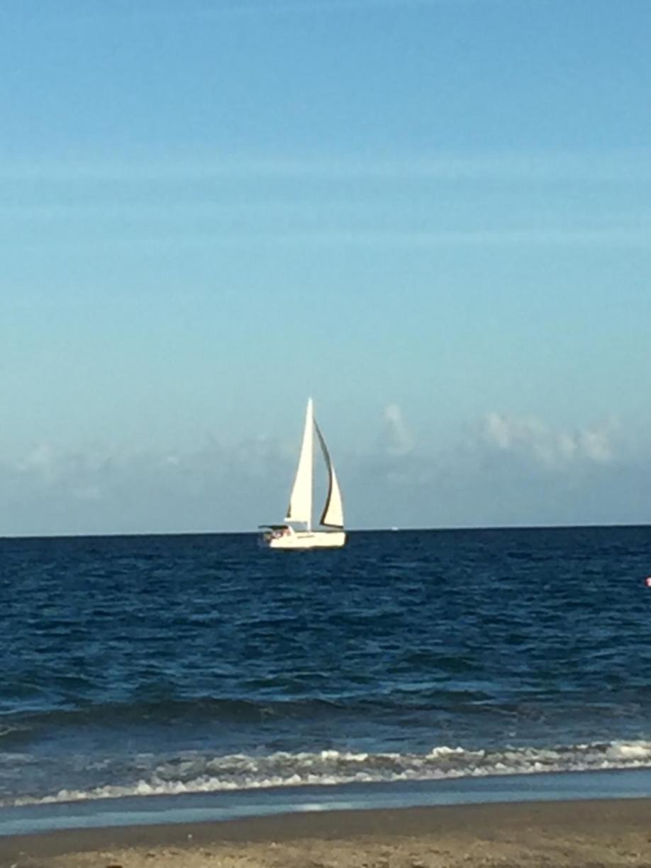 Palm Beach Mermaid غرب شاطئ بالم المظهر الخارجي الصورة